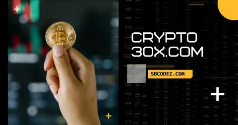 Unlocking Your Crypto Potential with Crypto30x.com