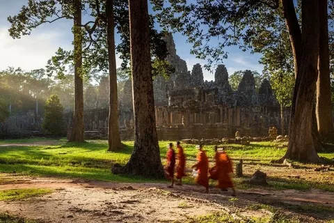 Triips: Travel Deeper and Connect with Locals