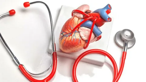 Exploring the Blog @thehealthyprimate.org: Your Guide to Holistic Wellness