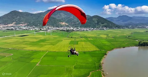 Chaguanco o Chaguaco: Decoding the Names and Secrets of the Essential South American Shrub