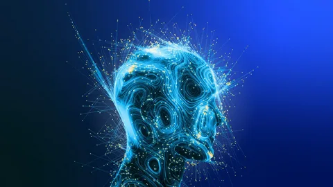 31612458702: What Is It and Why Are People Searching for It?